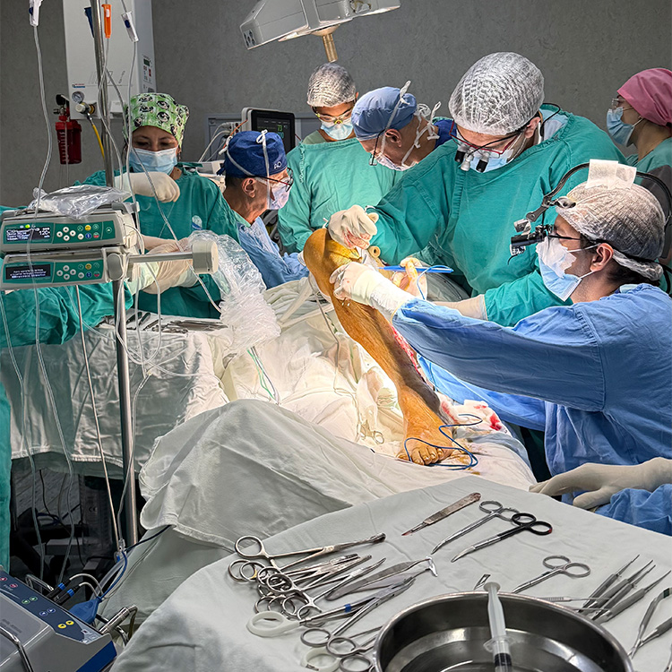 Fellowship Bucomaxilofacial